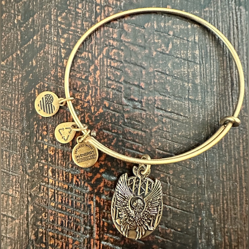 Alex and Ani Matte Gold Guardian of Love Charm Bangle Bracelet